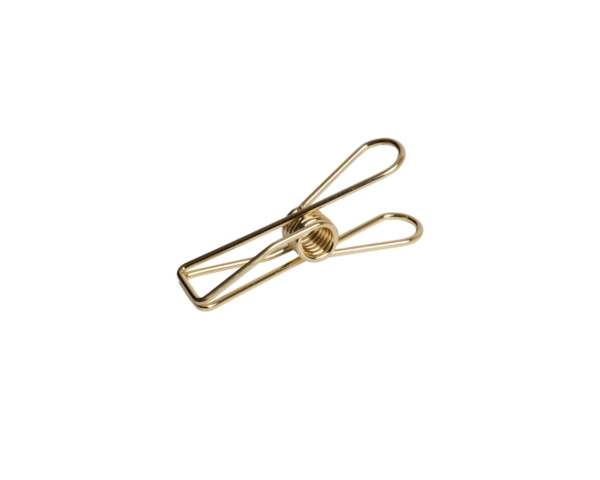 41013-goud